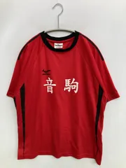 Mizuno Tシャツ/カットソー M-L レッド