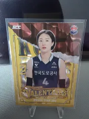 25 - 26 コボ カーボン 道路工事 황연주 バレンタイン インサートカード