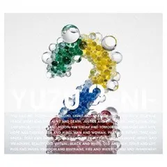 2-NI-(初回限定盤)(DVD付)