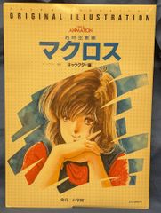 初版 ビッグウェスト 超時空要塞マクロス 原画集 美樹本晴彦 - メルカリ