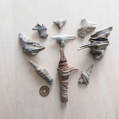 Item thumbnail for item b0513495-42cd-4cf0-87c0-0f8a7dfff6ac