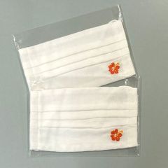 ✨CHC16スピニングプレート（直径10㎝）希少✨ラメ入✨ヒマラヤ産原種