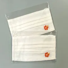 ✨プリーツ型布マスク（刺繡入り・女性用）2枚セット✨エコマスク✨手作りマスク✨風邪予防✨花粉　PM2.5　黄砂　インフルエンザ対策✨送料込