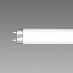 Item thumbnail for item 1c29ca31-c7ed-499e-ba25-e745a3f1d8c7