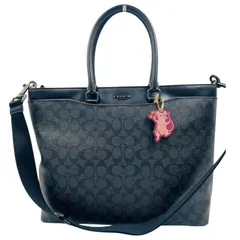 コーチ　COACH　シグネチャー　ハンドバッグ　ショルダーバッグ　２Way