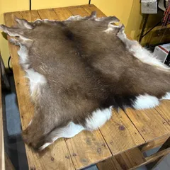 2026年最新】鹿毛皮の人気アイテム - メルカリ