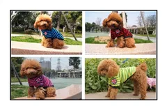 【デッドストック品】とってもお得な4色セット★ラグビー風ボーダーTシャツ♪Sレッドブルーイエローピンクの4枚組