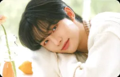 Stray Kids Hyunjin NACIFICコラボ WAVE9 トレーディングカード 茶