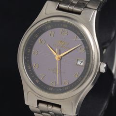 本日終了】 シャルル ホーゲル 時計 メンズ 自動巻き デイト CV-7729 