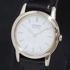 CITIZEN エコドライブ アンビリュナ 1Pダイヤ チタン 稼働品 - メルカリ