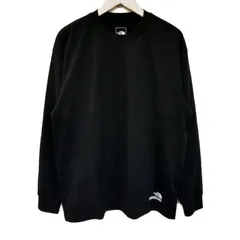 THE NORTH FACE STANDARD ノースフェイス 国内正規 25SS L/S STANDARD Hem Logo Tee ヘムロゴTシャツ 長袖 NT32534R K ブラック 黒 L