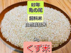 R7年 自然栽培米 朝日米20kg玄米 - メルカリ