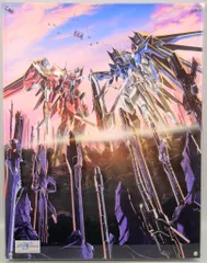 2026年最新】レイヤードグラフ seedの人気アイテム - メルカリ