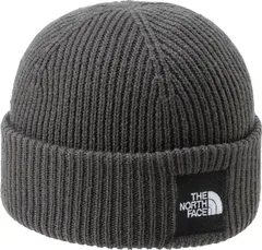 ザ・ノース・フェイス THE NORTH FACE アウトドア ショートリブビーニー メンズ ニット帽 防寒 秋冬 寒さ対策 普段使い シンプル お出かけ キャンプ 外出 ロゴ入り スキー スノボ フィット  NN42542 GG グラファイトグレー