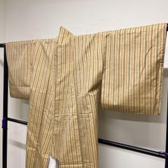 小紋 紬地 紬 縦縞 ストライプ ベージュ 着物 014tz - メルカリ