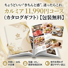ディナー お肉 海鮮 多数掲載 介護 家電 美容 健康 カタログギフト
