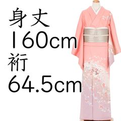 裄66cm 【トールサイズの単衣】 作家物の【友禅染】 新品の訪問着