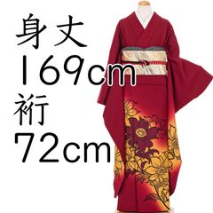 希少 トール 辻ヶ花 訪問着 フルセット 単衣 正絹 夏帯小物付き 裄71.5