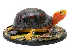 動物の惑星】ヒガシヘルマンリクガメ フィギュア - メルカリ