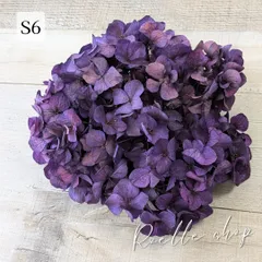 セイヨウアジサイ プリザーブドフラワー (アジサイ あじさい 紫陽花) ハンドメイド アレンジ 制作 資材 材料 スワッグ リース ブーケ ハーバリウム レジン S-プラムパープル (S6) 20g