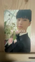 Seventeen セブチ ホシ FML CARAT Ver.