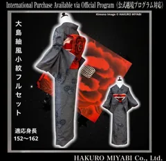 袷　正絹　紬　大島紬系　フルセット　4点 152〜162 S〜Ｍ　ミ9998