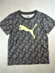 PUMA / Tシャツ & カットソー