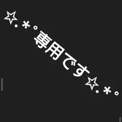 ✩.*˚専用です✩.*˚