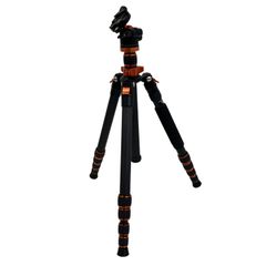 Item thumbnail for item dc459501-f370-46b6-b7ce-f48414e376b0