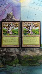 MTG 飢餓の潮流、グリスト ボーダーレスfoil 日本語 - メルカリ