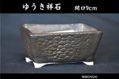 2026年最新】鉢 祥石の人気アイテム - メルカリ