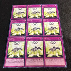 爆アレ❗️可愛いピンク♡超綺麗マダガスカル産パイナップルピンククラスターA1619 爆アレ❗️可愛いピンク超綺麗マダガスカル産パイナップルピンク