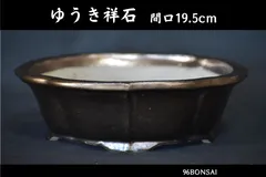 2026年最新】鉢 祥石の人気アイテム - メルカリ