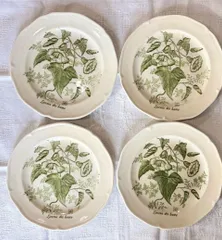 2026年最新】ジアン 食器の人気アイテム - メルカリ