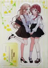 【中古】アクリルスタンド・アクリルパネル 榊原鞠佳＆不破絢 描き下ろしアクリルスタンドフィギュア 「ライトノベル 女同士とかありえないでしょと言い張る女の子を、百日間で徹底的に落とす百合のお話 第2巻 メロンブックス限定版」 購入特典のサムネイル