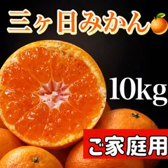 三ヶ日青島みかん 訳あり家庭用 糖度14度前後　10kg