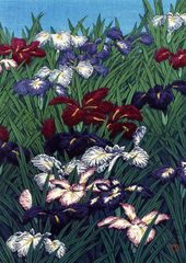 紫色の花 日本画　渡辺阿以湖　菖蒲 紫色の花 日本画 渡辺阿以湖 菖蒲 - メルカリ