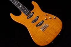 2026年最新】バーズアイ ギターの人気アイテム - メルカリ