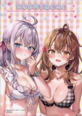 [중고] 클리어 파일 아랴 & 마샤 오리지널 A4 클리어 파일 [라이트 노벨 가끔 보쏘과 러시아어로 데레하는 옆의 아야 씨 후화] 게이머즈 구입 특전