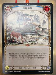 Flesh and blood フィエンダルの春のチュニック 日本語 - メルカリ