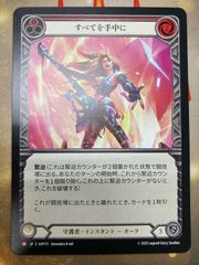 Flesh and blood フィエンダルの春のチュニック 日本語 - メルカリ