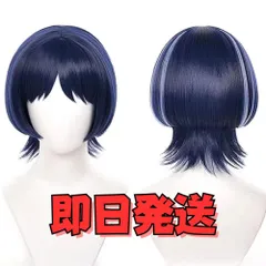 2026年最新】放浪者 ウィッグの人気アイテム - メルカリ