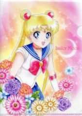 [Used] Clear File - Sailor Moon "Pretty Guardian Sailor Moon Art File Collection"