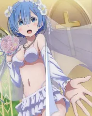 【中古】タペストリー A.レム のれん 「Re：ゼロから始める異世界生活」