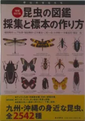 2026年最新】昆虫採集 標本の人気アイテム - メルカリ