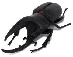 【中古】食玩 トレーディングフィギュア 1.ネプチューンオオカブト 「昆虫の森 大カブトムシ祭り」