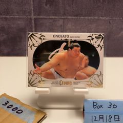 Item thumbnail for item 569bd40f-e340-461c-bd23-7c6f8b17c73d