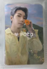 Seventeen ウォヌ セブチ SECTOR 17 POWERSTATION ラキドロ