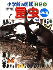 小学館の図鑑NEO 3 小池啓一 昆虫 新版