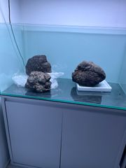 アクアテラリウム 溶岩石 No.3 ※傷あり特価※ - メルカリ
